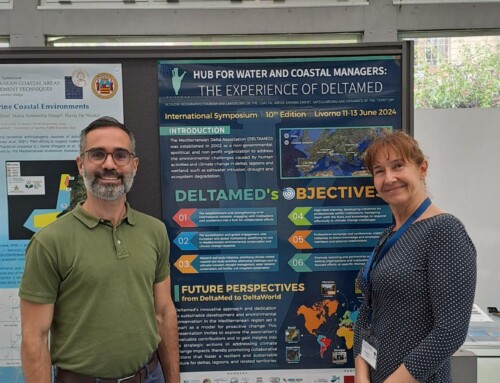 Hub for water and coastal managers: The experience of Deltamed