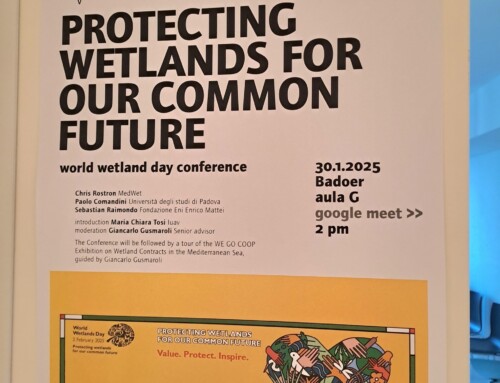 DELTAMED participates at the conference “Protecting Wetlands for our Common Future” in Venice